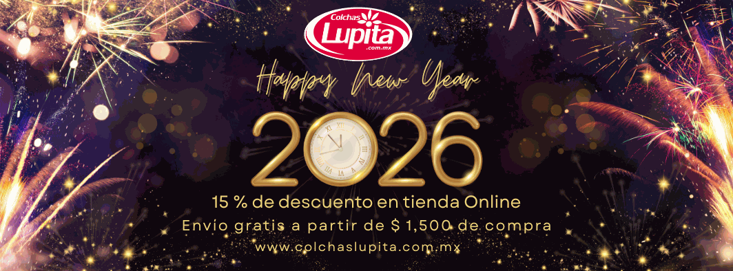 Odoo CMS - una imagen grande